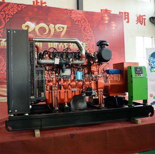  产品展示 燃气系列发电机组 玉柴200千瓦燃气发电机 产品分类